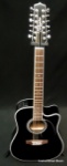 TAKAMINE EF381SC 12 String Acoustic Electric