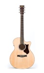 Martin GPCPA4 performing artist /case