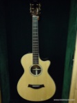 Taylor 12 FretCE