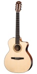 Taylor NS24ce Classical Nylon Acoustic Guitar w/ES-T System