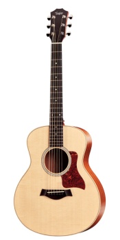Taylor GS Mini Acoustic Travel