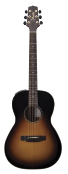 Takamine ltd edition New Yorker electric