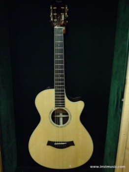 Taylor 12 FretCE