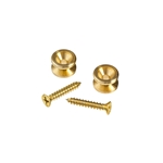 Planet Waves Solid Brass End Pins - Brass (Pair)