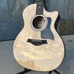 Taylor 314ce with V-Class Bracing