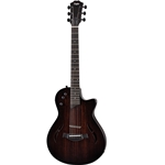 *2021 Pre-order* Taylor T5z Exotic Classic, Rosewood