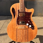 Cole Clark New TRUE HYBRID Thinline HH