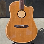 LR Baggs AEG-1 Torrefied Electric Acoustic