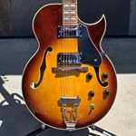 Used Jay Turser JT-136 Hollow Body with Hard Case