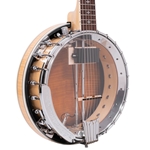 Gold Tone GT-750: Banjitar Deluxe with Case