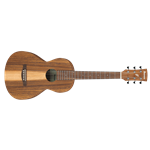 Ibanez PN2 Parlor Open Pore Brown