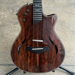 Used 2016 Taylor Custom T5z Ebony with Hard Case