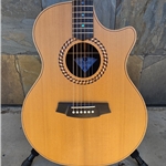 Cole Clark Recording Grand Auditorium Rosewood Electric Acoustic