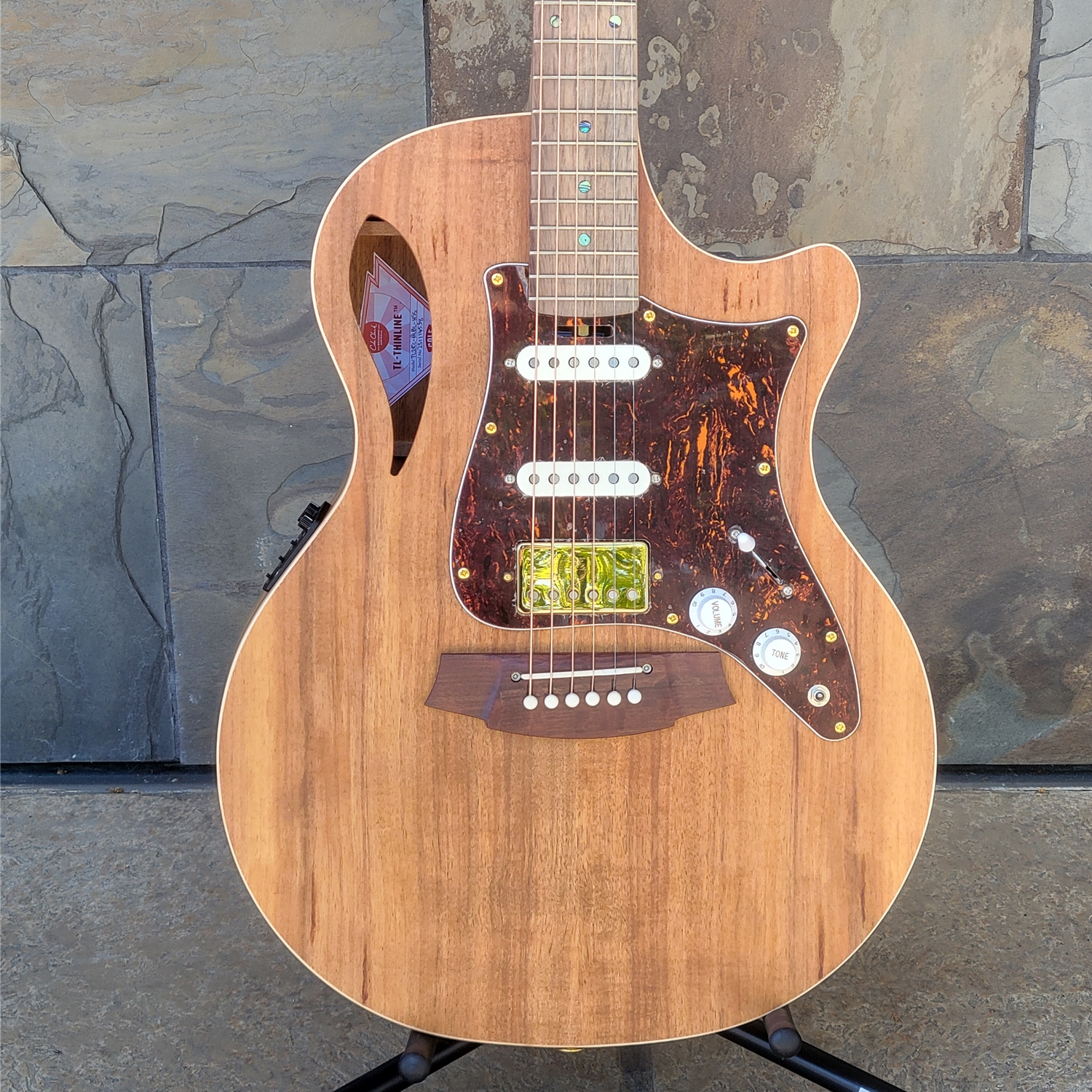 Cole Clark New TRUE HYBRID Thinline All Blackwood Cutaway Balanced HSS