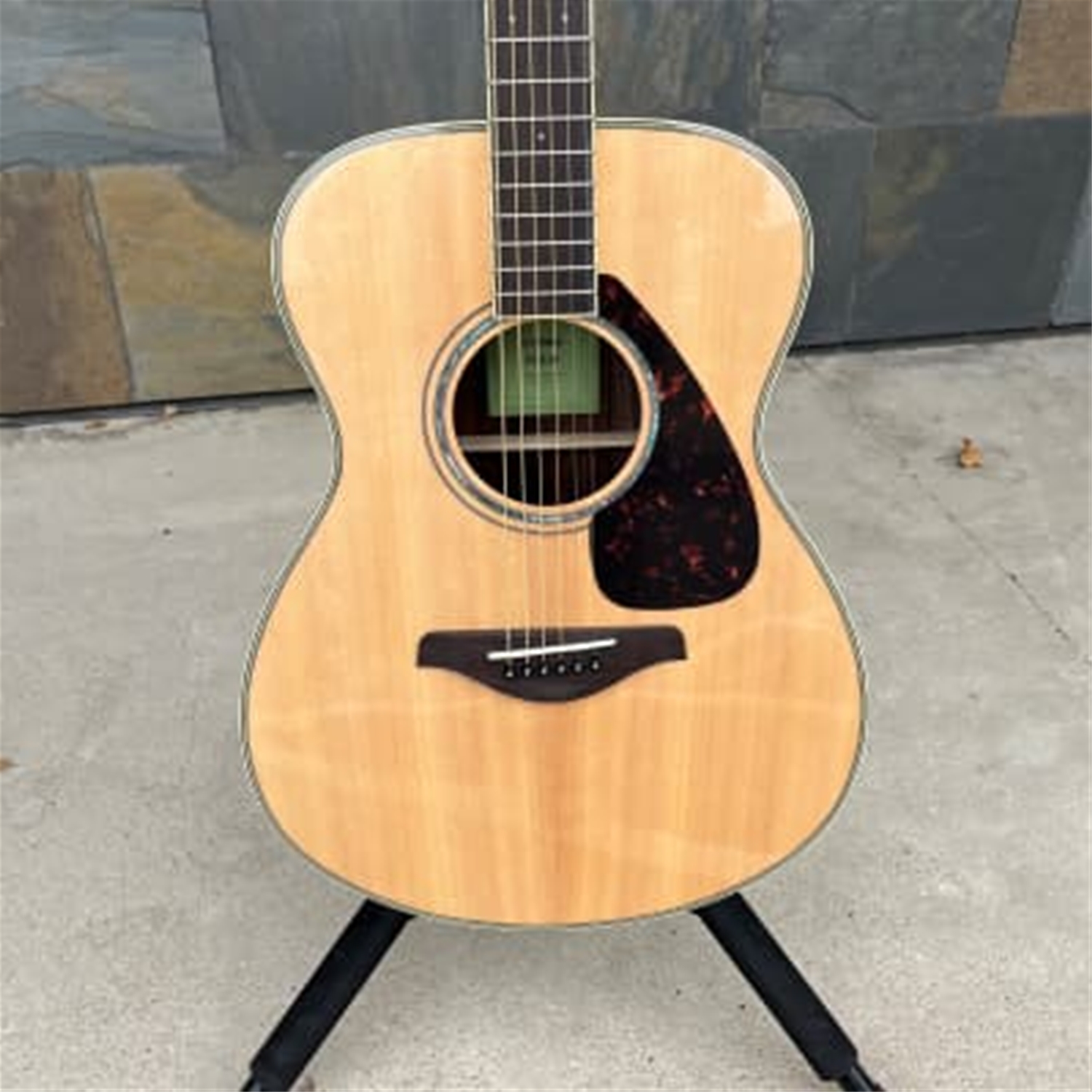 Instrumental Music - Yamaha FS830