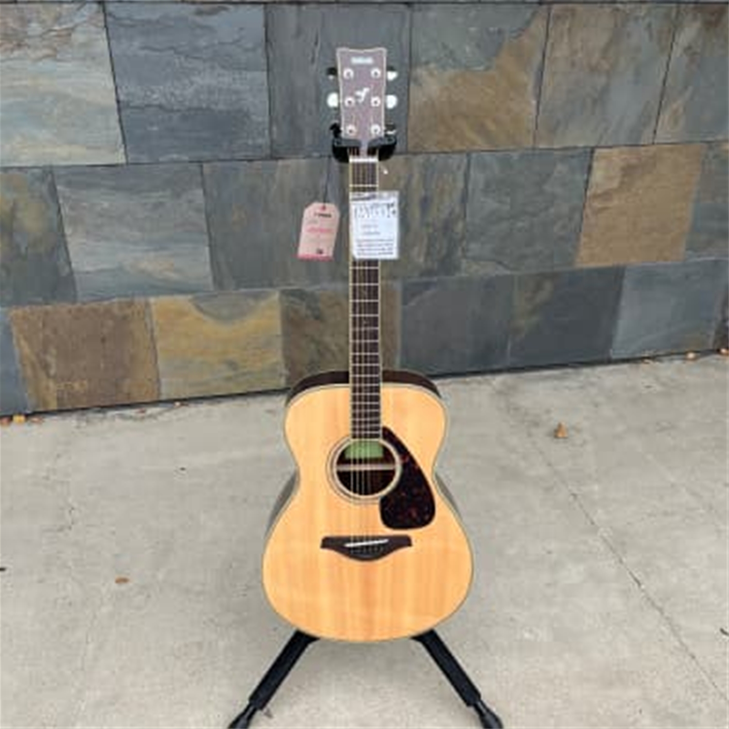Instrumental Music - Yamaha FS830