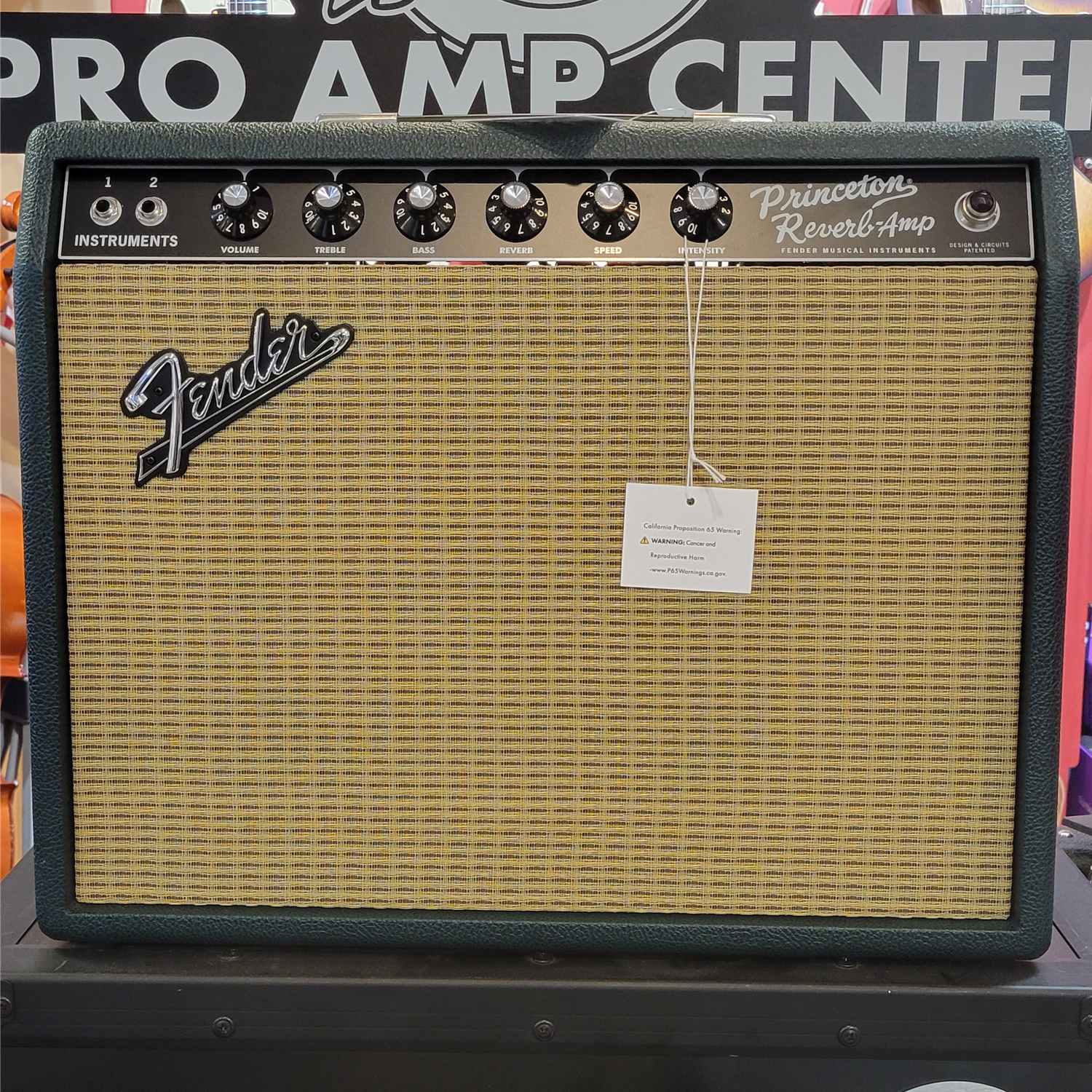 Instrumental Music Fender 65 Princeton Reverb FSR British Green 1x12
