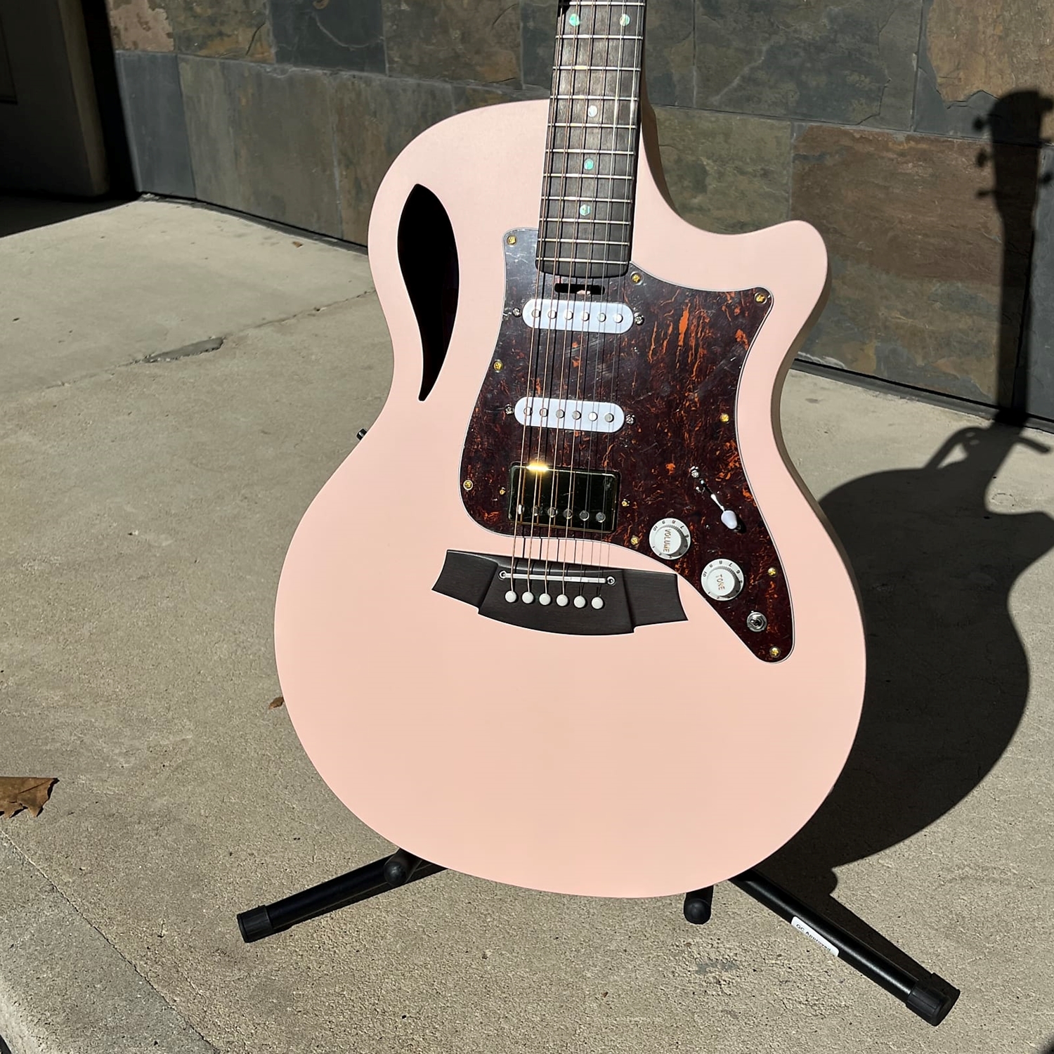 Cole Clark True Hybrid TL2EC All Blackwood Ebony, Shell Pink