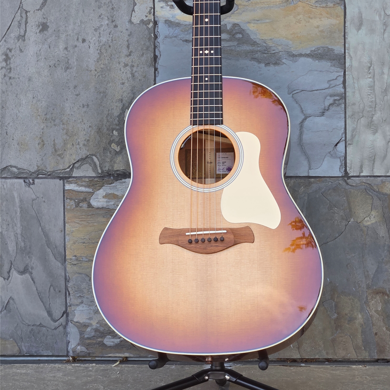 Taylor Gold Label 517E Sunburst with Cream Pickguard Electric Acoustic