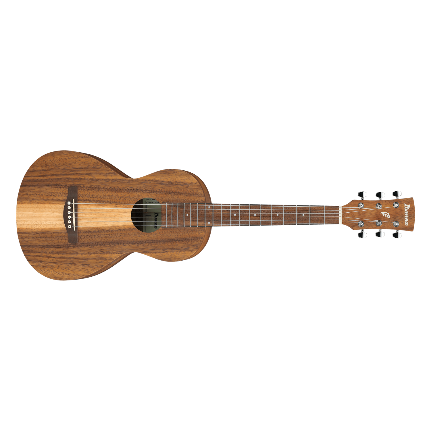 Ibanez PN2 Parlor Open Pore Brown