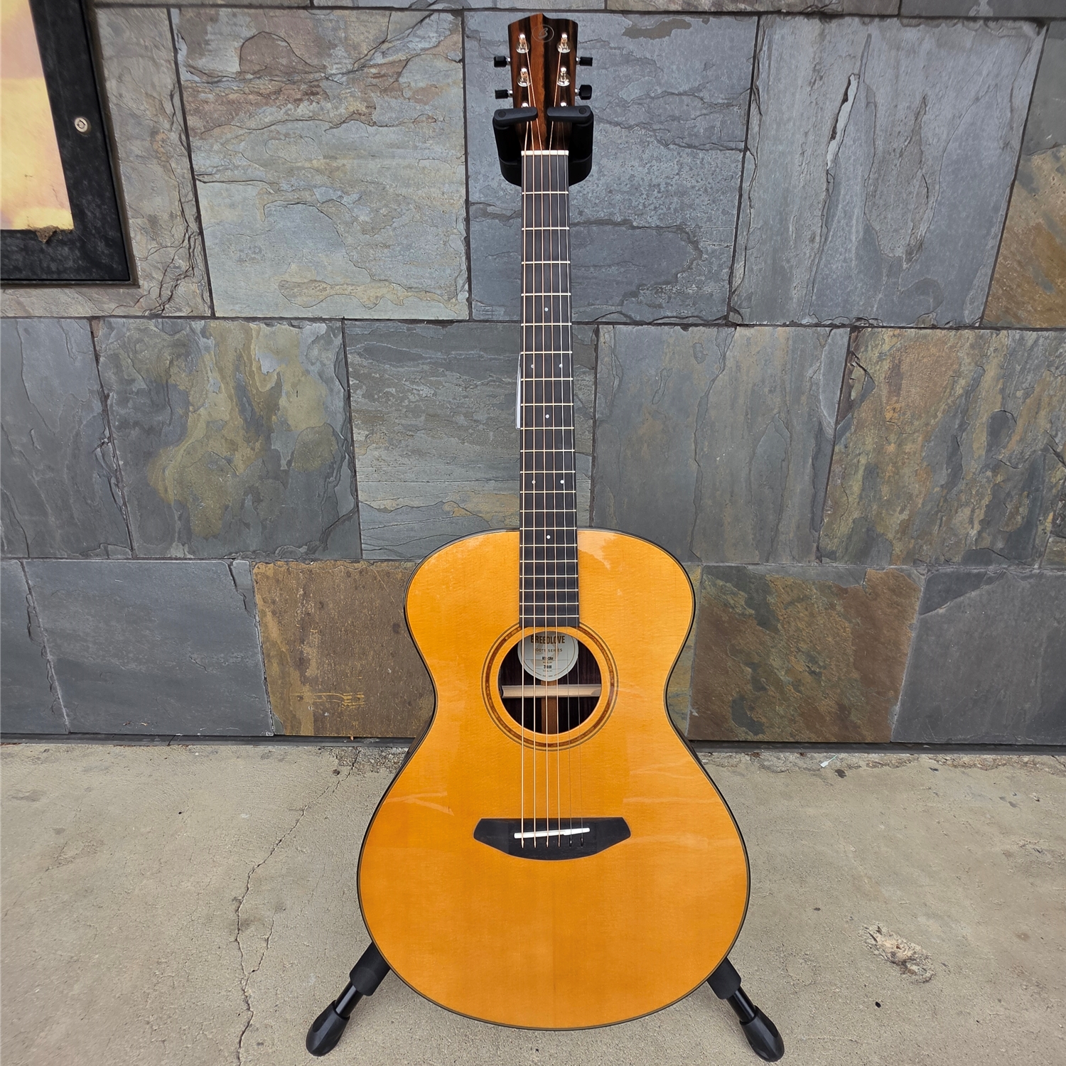 Breedlove Roots Concert RTC-SRe