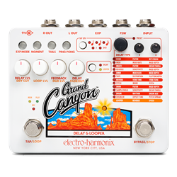 Electro Harmonix Grand Canyon Delay and Looper