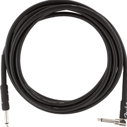 Fender Professional Series Instrument Cable, Right Angle-Straight, 10 FT