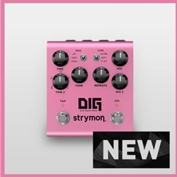 Strymon Dig V2 Dual Digital Delay