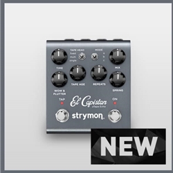 Strymon El Capistan V2 Tape Echo