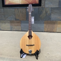 Gold Tone Mandola w/gigbag