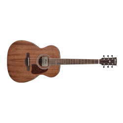 Ibanez Artwood AC340 Acoustic Guitar