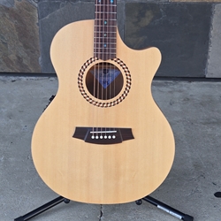 Cole Clark Studio recording AN2EC Spruce Mahogany
