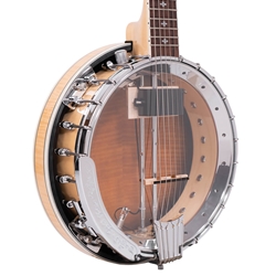 Gold Tone GT-750: Banjitar Deluxe with Case