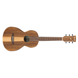 Ibanez PN2 Parlor Open Pore Brown