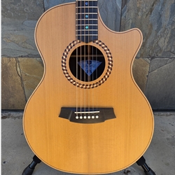 Cole Clark Recording Grand Auditorium Rosewood Electric Acoustic